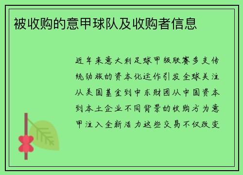 被收购的意甲球队及收购者信息