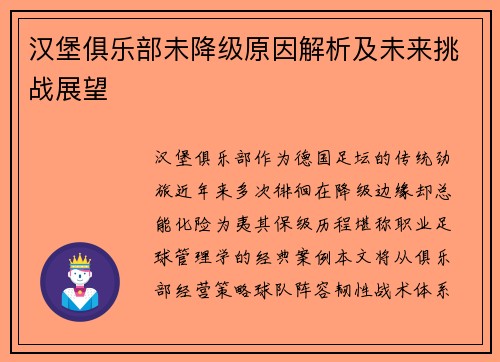 汉堡俱乐部未降级原因解析及未来挑战展望